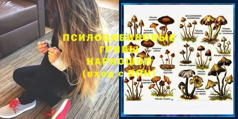 Галлюциногенные грибы MAGIC MUSHROOMS  Гай 